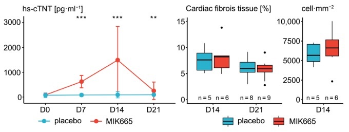 MCL-1-Hemmung kardiale Transkriptomik
